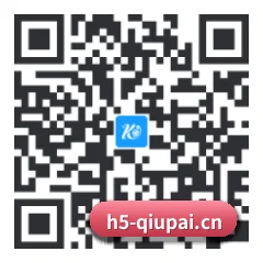 系统版 iOS 二维码