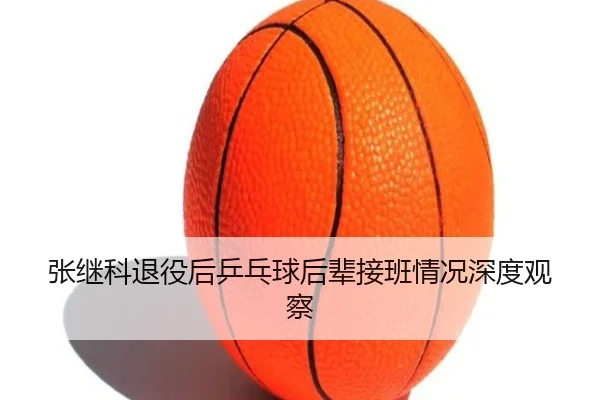张继科退役后乒乓球后辈接班情况深度观察